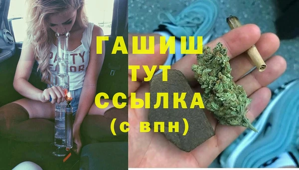 PSILOCYBIN Новозыбков