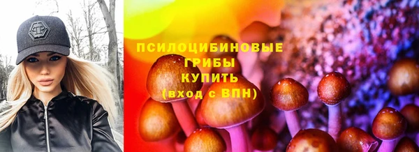 скорость mdpv Новодвинск